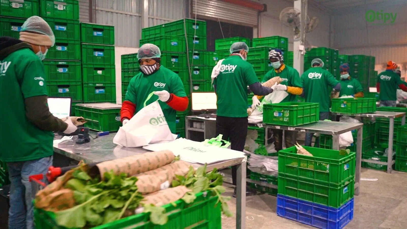 The Rise and Fall of Otipy: What Went Wrong in the Fresh Produce Startup