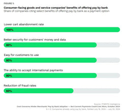 Unleashing the Potential of Pay by Bank: A Game-Changer for Consumer-Facing Businesses