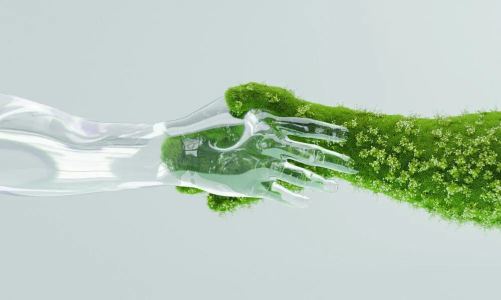 The Transformative Power of Eco-Friendly Packaging: Elevating Brands and Protecting Our Planet